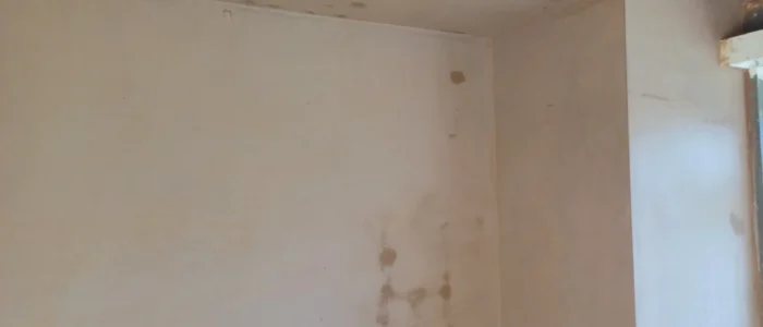 plasterer Barons Court